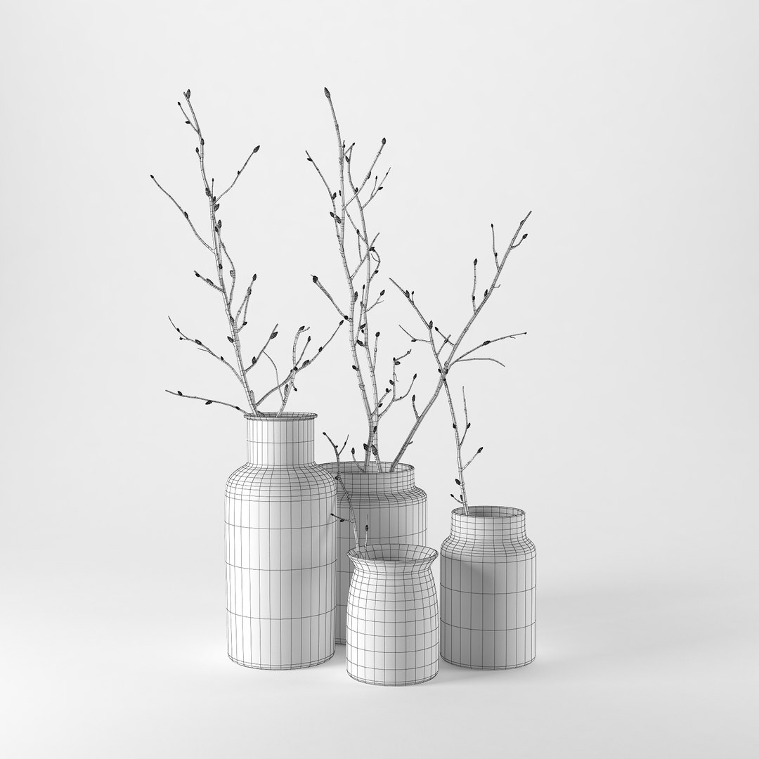 branches glass jars 3D model https://p.turbosquid.com/ts-thumb/tu/yrt4cG/oA2LWbvL/setk3/jpg/1502918835/1920x1080/fit_q87/c76ab3869a31edcaf1a0c9f74fdd1408e055036e/setk3.jpg