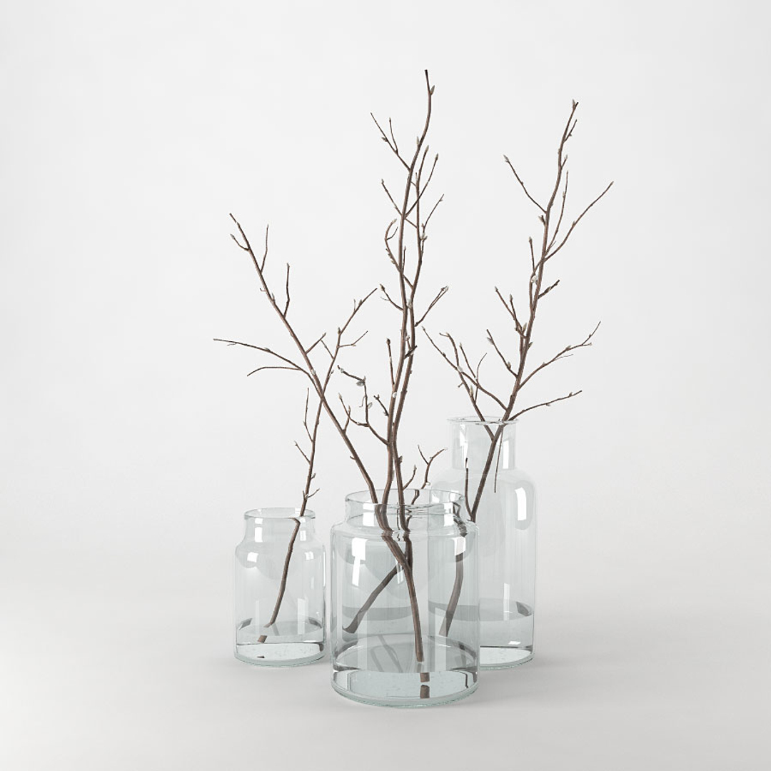 branches glass jars 3D model https://p.turbosquid.com/ts-thumb/tu/yrt4cG/vdZZ64xy/branches/jpg/1502918756/1920x1080/turn_fit_q99/0098d7a2ef1510ee051de37f87fd2f22925187ed/branches-1.jpg