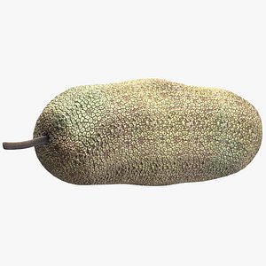 Fruit Artocarpus Integer Low Poly 3D model