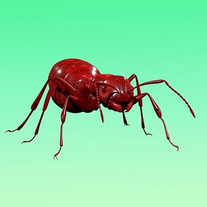 Red Ant Rig