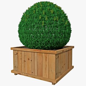 box hedge 3d model
