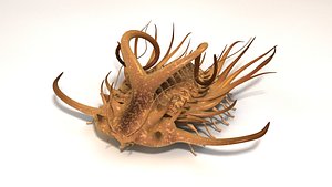3D Dicranurus monstrosus