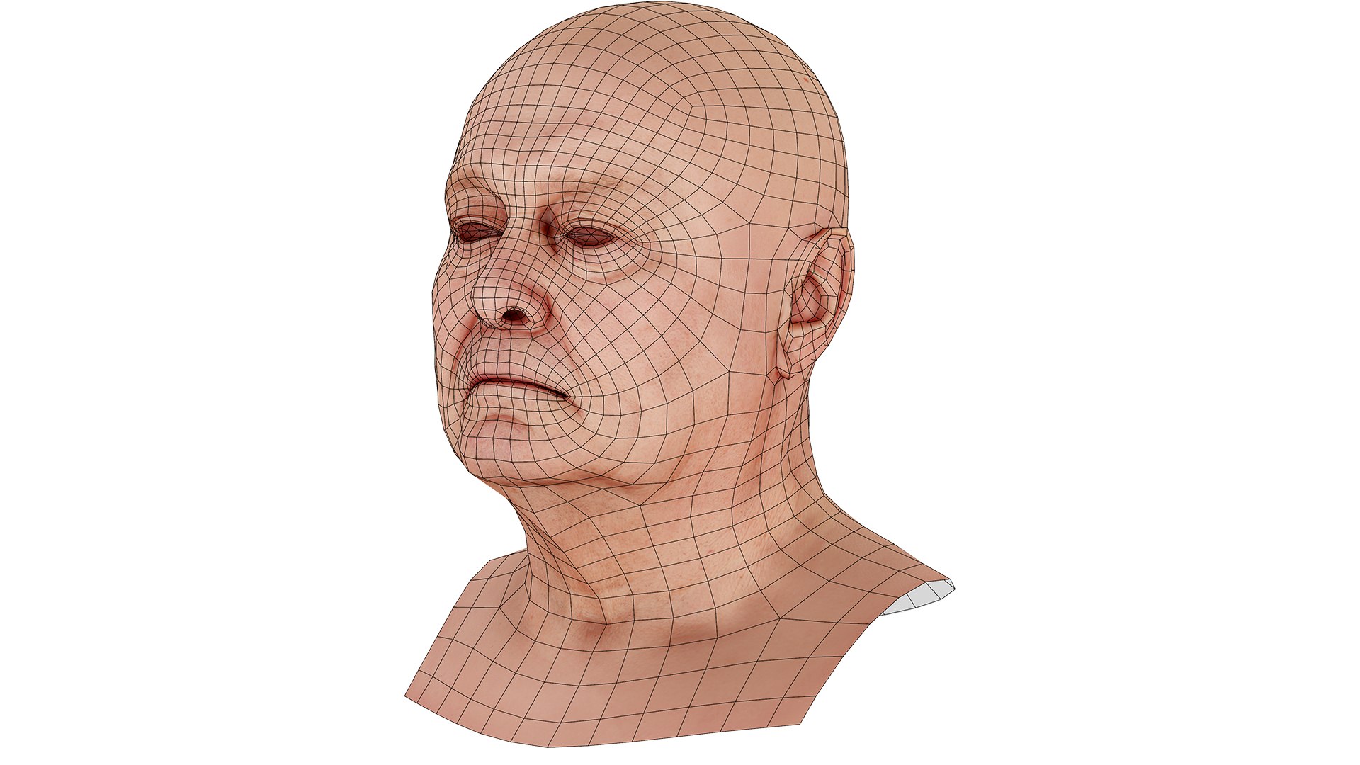 3d Model Retopologized Head Scan Riley Evans Turbosquid 1801029