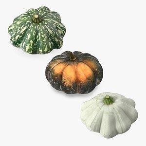 Pumpkin Collection 3D model