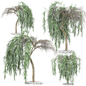flower pack 140 3D model