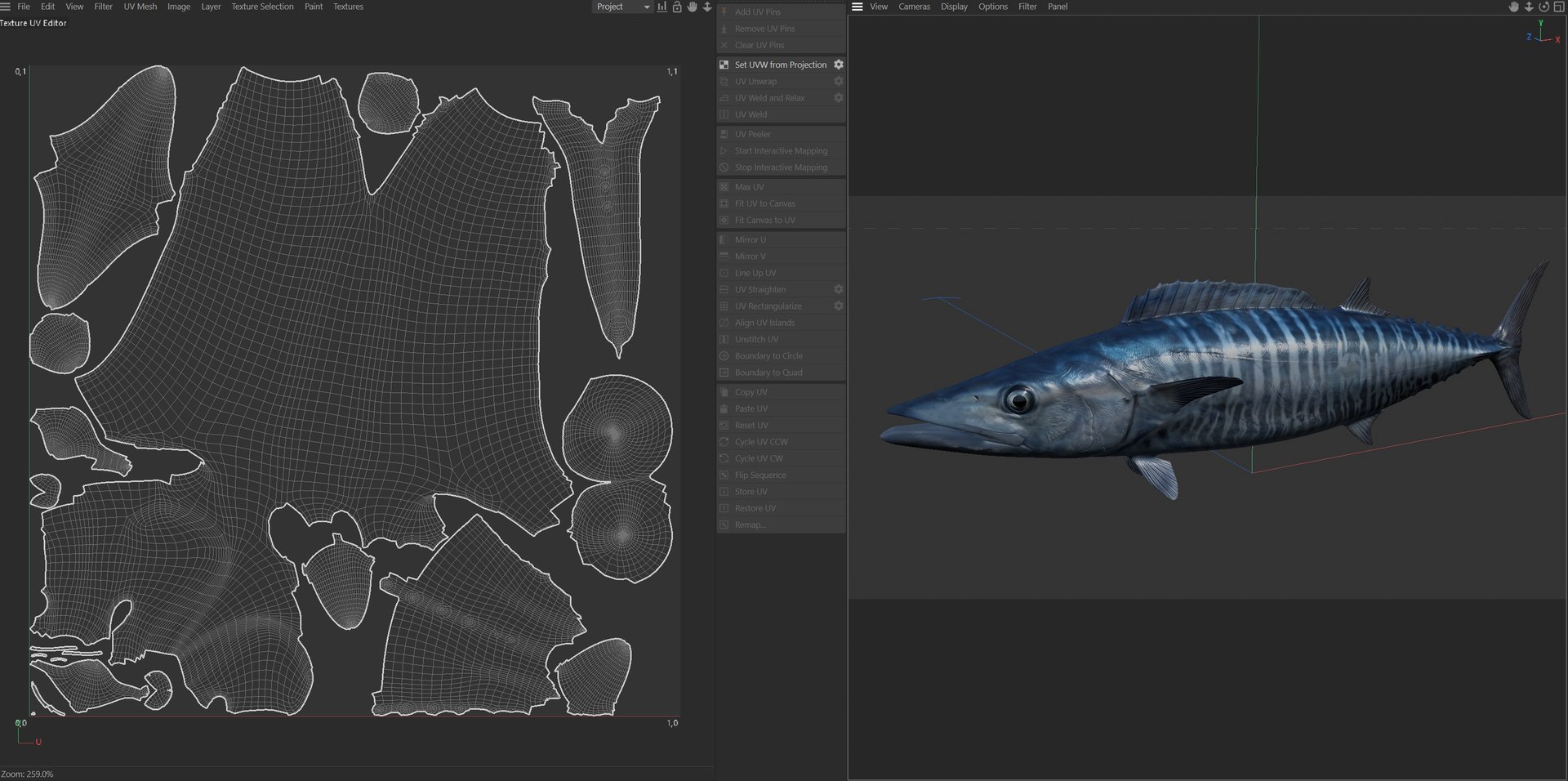 3D Kingfish model https://p.turbosquid.com/ts-thumb/tv/b0hwSD/Uk/uv/jpg/1774787740/1920x1080/fit_q87/cb531ba13075701f3eb1965c2a6139c96430467e/uv.jpg