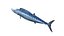 Kingfish