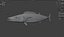 Kingfish