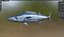 Kingfish