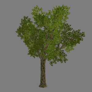 tree - 2 3d model