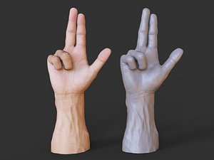Male Hand Pose 09 model
