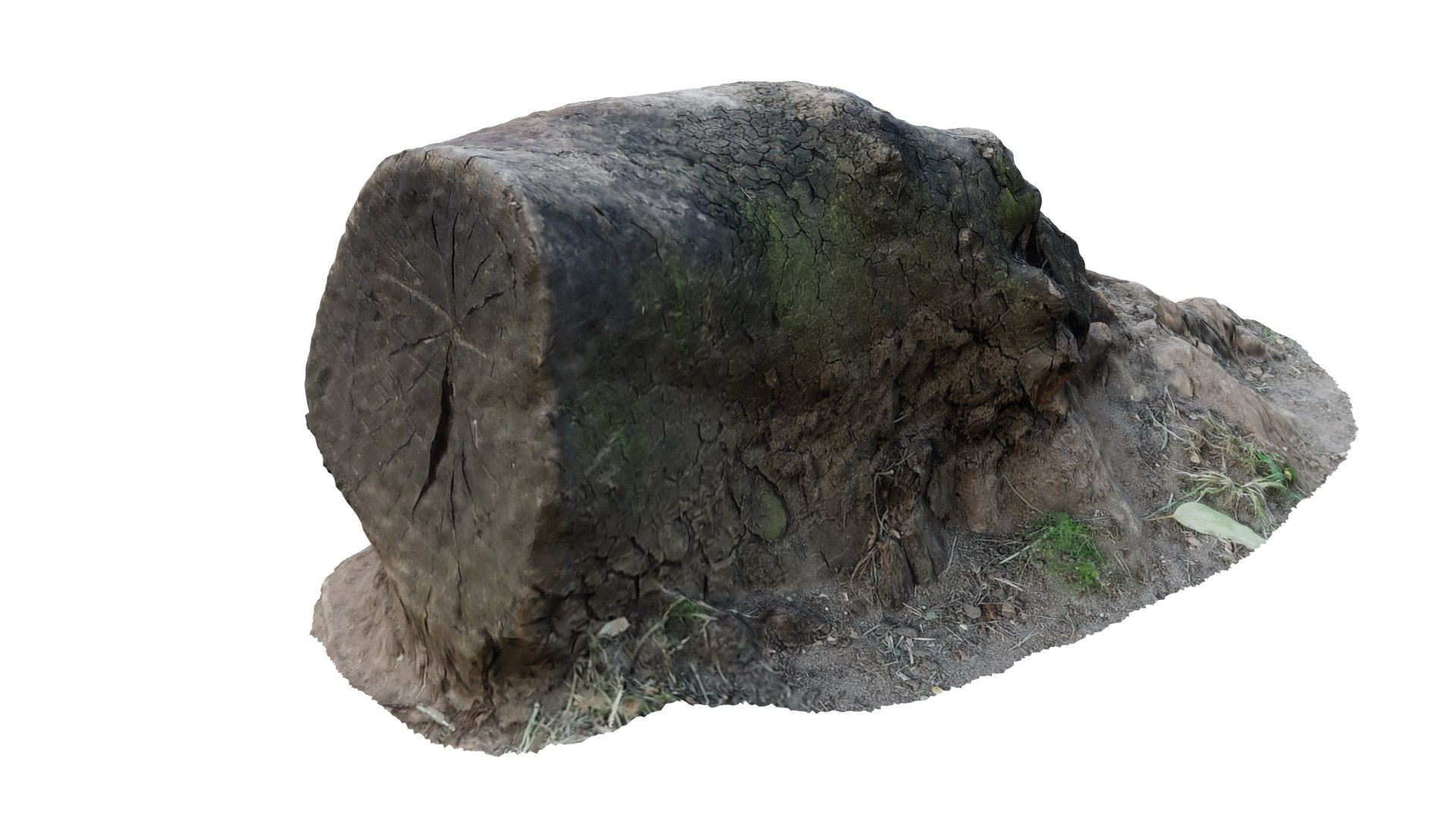 Urban Nature Collection Tree Trunks Model - TurboSquid 1804345