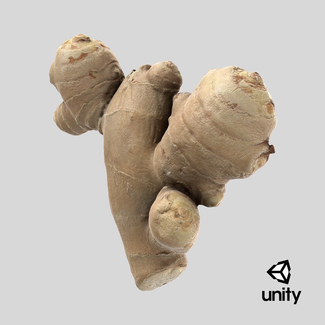 Ginger Root 02 3D model https://p.turbosquid.com/ts-thumb/tw/EZpyD0/4L/stemcell_unity_render/png/1743694611/1920x1080/fit_q87/48ddb62a0694d724465d0d43fae23ba7e9fc5a7a/stemcell_unity_render.jpg