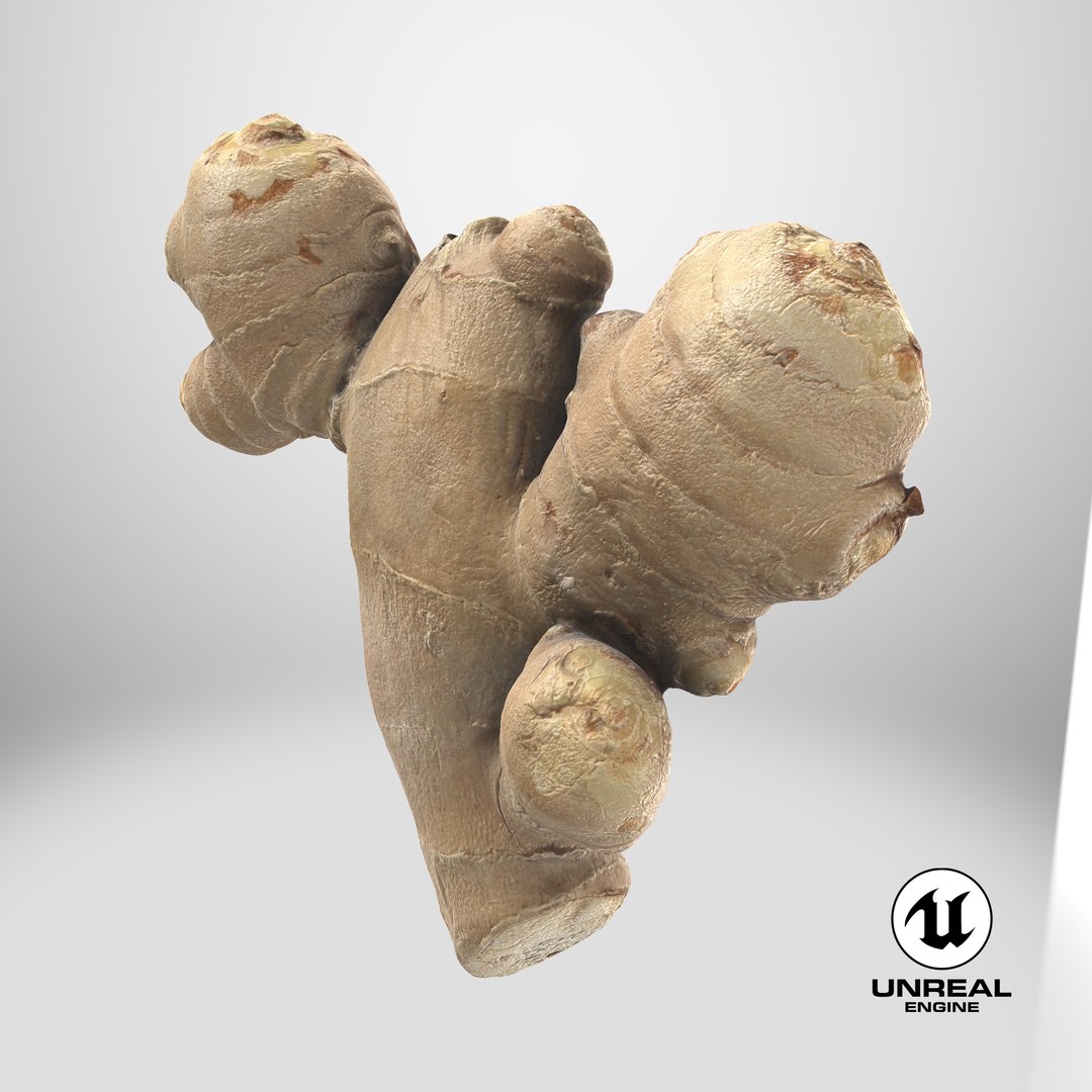 Ginger Root 02 3D model https://p.turbosquid.com/ts-thumb/tw/EZpyD0/O5/stemcell_unreal_render/png/1743694609/1920x1080/fit_q87/223edeace628099085496c5f163319044232548b/stemcell_unreal_render.jpg