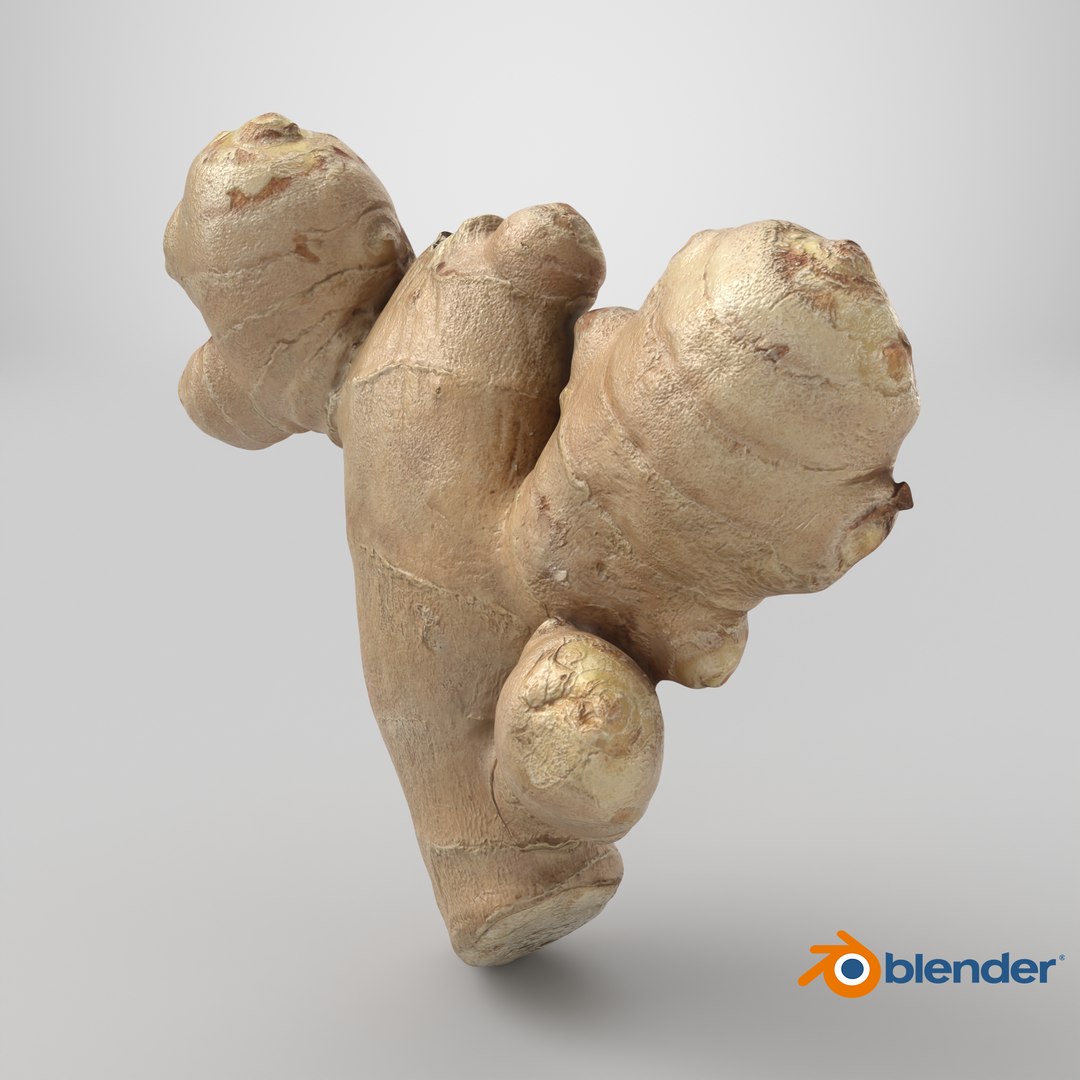 Ginger Root 02 3D model https://p.turbosquid.com/ts-thumb/tw/EZpyD0/VN/stemcell_blender_cycles_render/png/1743694596/1920x1080/fit_q87/2db99ddc0d4d123fb73335c81d1aecdbf733b356/stemcell_blender_cycles_render.jpg