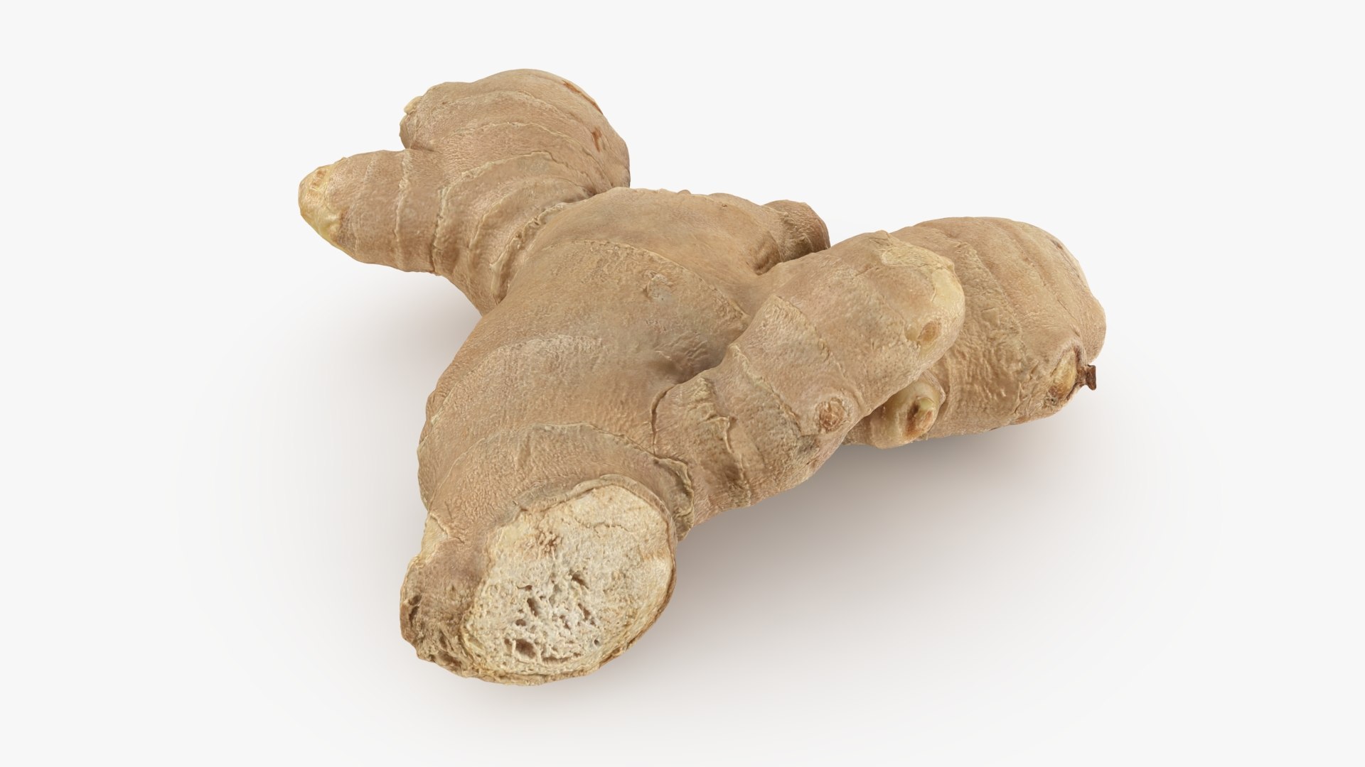 Ginger Root 02 3D model https://p.turbosquid.com/ts-thumb/tw/EZpyD0/WS/gingerroot02_b0010/jpg/1743270766/1920x1080/fit_q87/52075aff067815cc1cbc776084a3fc6d550e5113/gingerroot02_b0010.jpg