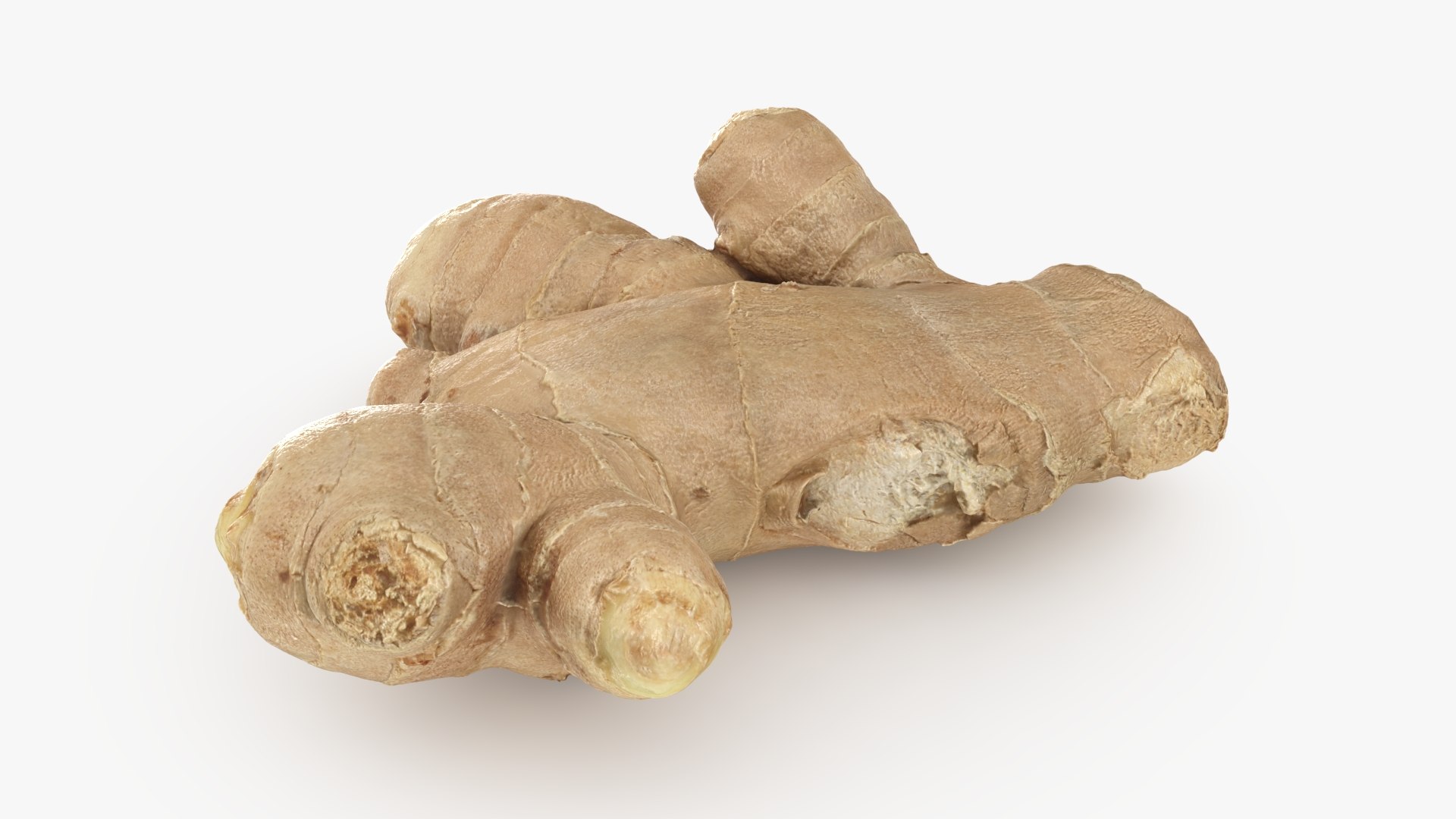 Ginger Root 02 3D model https://p.turbosquid.com/ts-thumb/tw/EZpyD0/c8/gingerroot02_b0006/jpg/1743270764/1920x1080/fit_q87/4e8c60642b2f5723e9eaca27239c67df50cb031e/gingerroot02_b0006.jpg