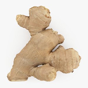 Ginger Root 02