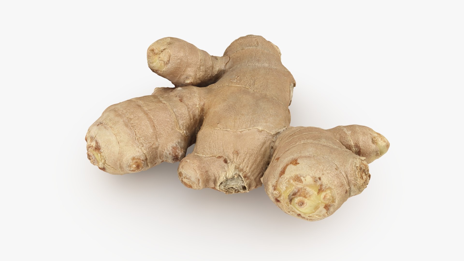 Ginger Root 02 3D model https://p.turbosquid.com/ts-thumb/tw/EZpyD0/gm/gingerroot02_b0008/jpg/1743270764/1920x1080/fit_q87/c7e497399892201407f703d0ab85c4aba947ceb3/gingerroot02_b0008.jpg