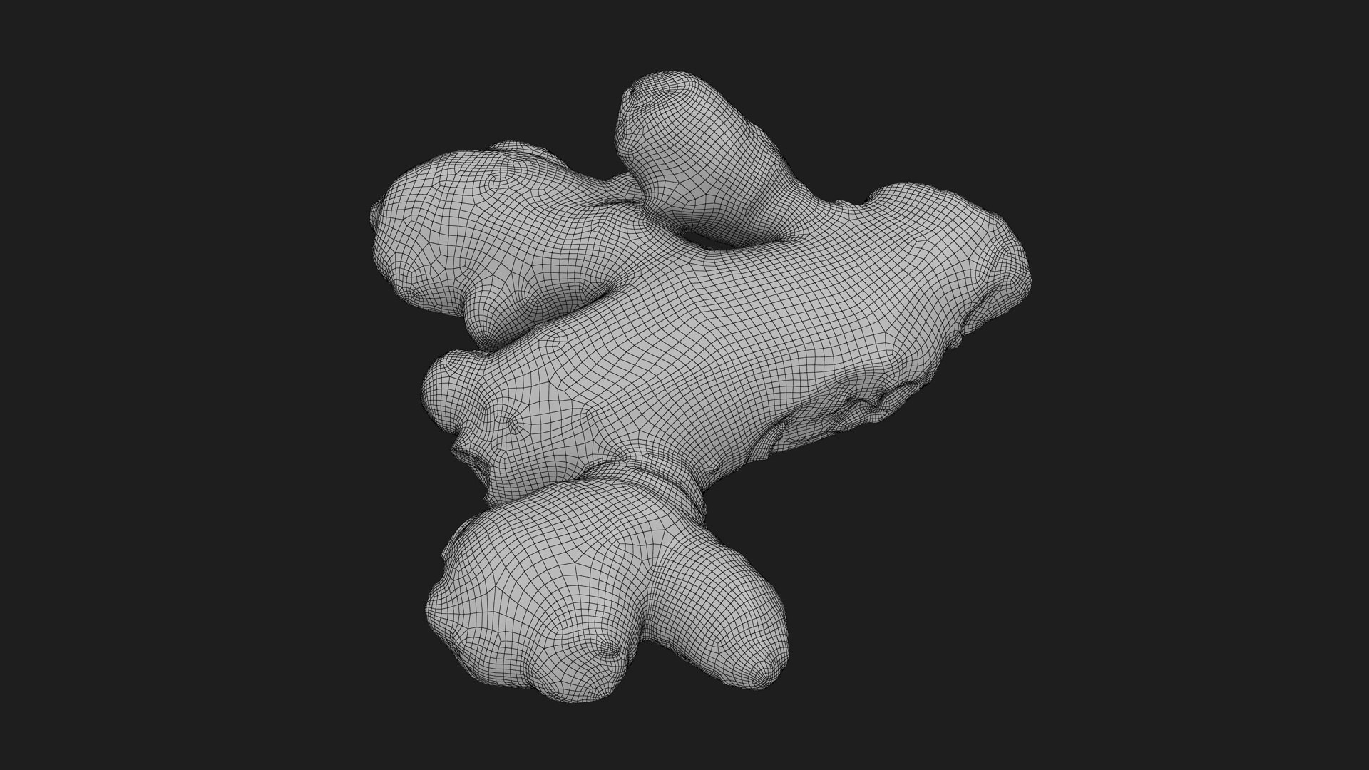 Ginger Root 02 3D model https://p.turbosquid.com/ts-thumb/tw/EZpyD0/kG/gingerroot02_g0003/jpg/1743270770/1920x1080/fit_q87/a3ce00ae33dcc12502f3a5685ca8baa3657eebf3/gingerroot02_g0003.jpg