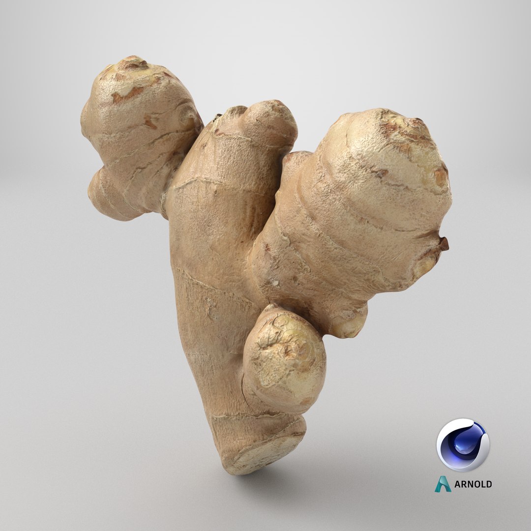 Ginger Root 02 3D model https://p.turbosquid.com/ts-thumb/tw/EZpyD0/p9/stemcell_cinema_4d_arnold_render/png/1743694602/1920x1080/fit_q87/452d925c0a03320ef807ca873f6de18f352a8c0e/stemcell_cinema_4d_arnold_render.jpg