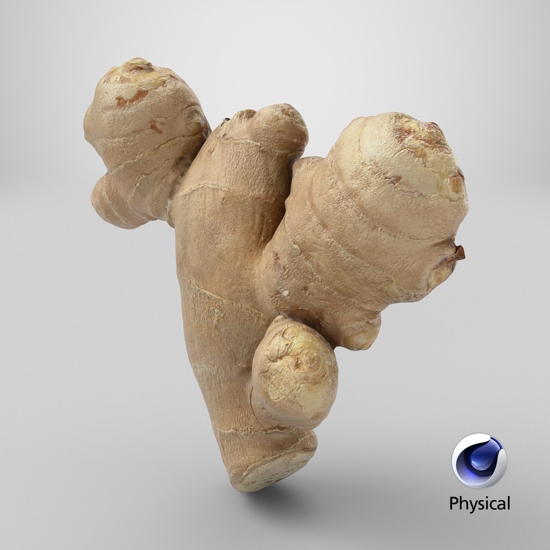 Ginger Root 02 3D model https://p.turbosquid.com/ts-thumb/tw/EZpyD0/vN/stemcell_cinema_4d_physical_render/png/1743694604/1920x1080/fit_q87/648663d9cf35329e63dbaf5bfaa87dba13e74c77/stemcell_cinema_4d_physical_render.jpg