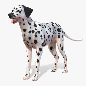 3D model Dog - Dalmatian