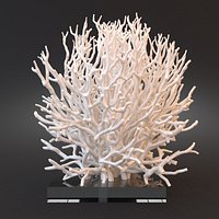 White Coral Specimen on Lucite Stand