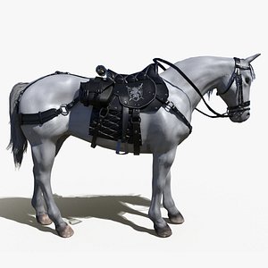 3D Saddled Horse model