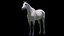 3D horse model