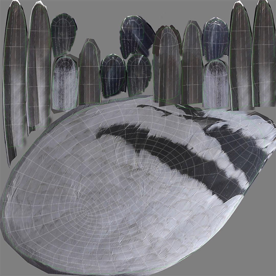 city pigeon rigging animation model https://p.turbosquid.com/ts-thumb/tw/oQaqXV/8CjMqMUG/t3/jpg/1522096974/1920x1080/fit_q87/dc8cb20d8333e6c79921ec4be12626732019549f/t3.jpg