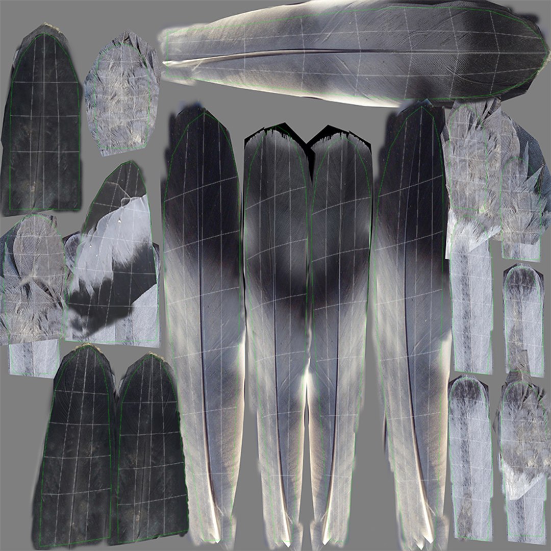 city pigeon rigging animation model https://p.turbosquid.com/ts-thumb/tw/oQaqXV/Lb14V6G8/t2/jpg/1522096974/1920x1080/fit_q87/a18ef1c4d6b6fe5846e1c9caa132cf9fe07fd213/t2.jpg