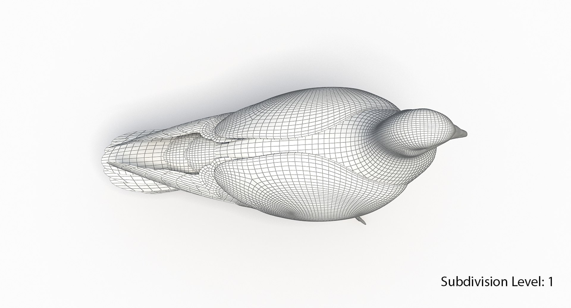 city pigeon rigging animation model https://p.turbosquid.com/ts-thumb/tw/oQaqXV/Wm4jluNj/g7/jpg/1522096460/1920x1080/fit_q87/c4d58a477b6e8a75ad7d4417fd308791dfac22af/g7.jpg