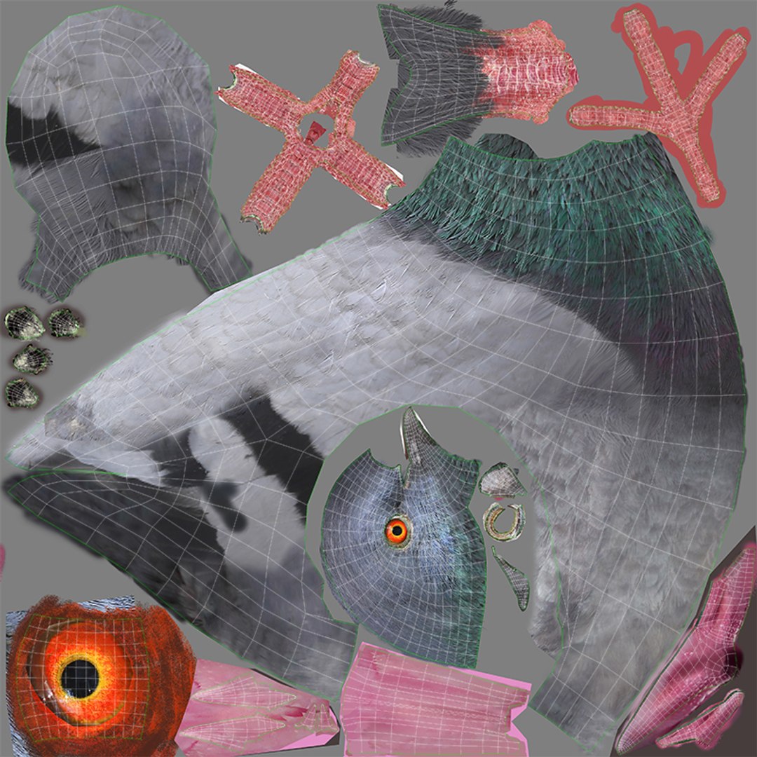 city pigeon rigging animation model https://p.turbosquid.com/ts-thumb/tw/oQaqXV/ih2LCjF8/t1/jpg/1522096974/1920x1080/fit_q87/0ead44e283b8ccb2d5fd7cc56a62805fca3ae30d/t1.jpg