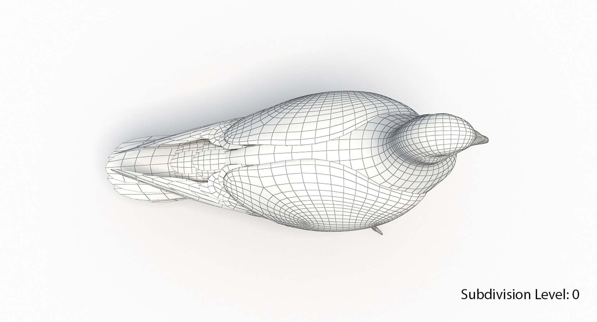 city pigeon rigging animation model https://p.turbosquid.com/ts-thumb/tw/oQaqXV/uz6xtxEp/g8/jpg/1522096460/1920x1080/fit_q87/72412554b644b57e61732db1278a2d2957085fcd/g8.jpg