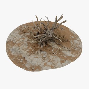 Dry Bush 03 - Scan 3D model