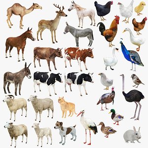 Big Farm Animal Collection 34 in 1