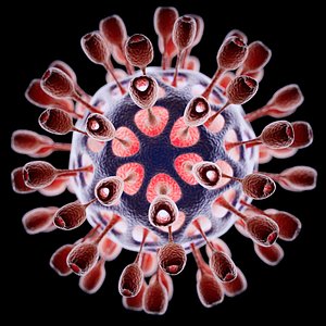 light virus 3d model