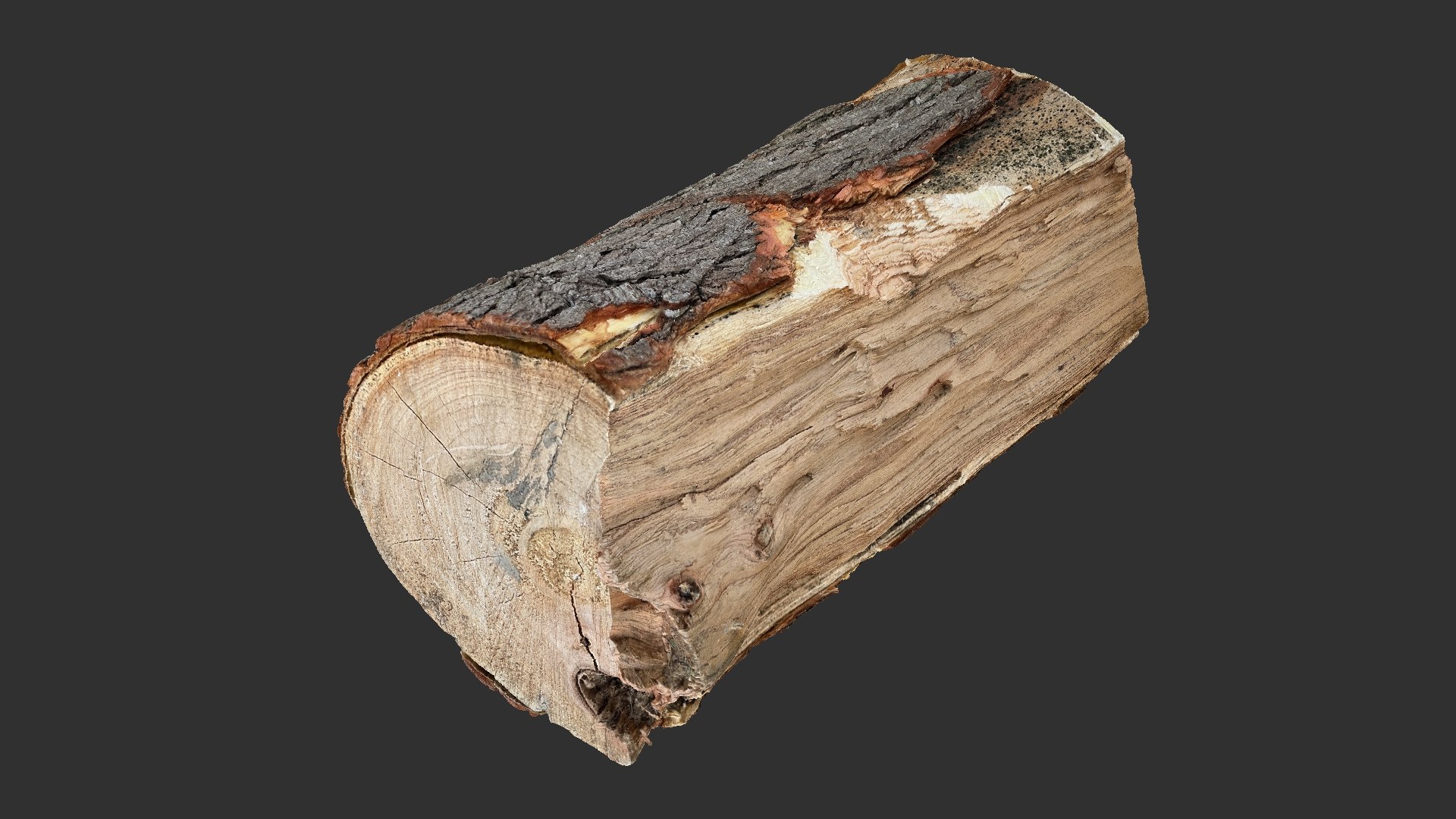 3D Scan tree trunk in highpoly 3D model https://p.turbosquid.com/ts-thumb/tx/Fmu1V9/0B/scr03/jpg/1710051869/1920x1080/fit_q87/71aad3bec0484db57b2d1dbac9debb9d24c468bf/scr03.jpg