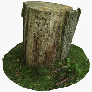 3D Tree Stump Photoscan model