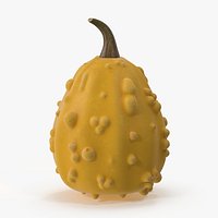 Gourd 03