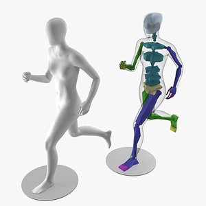 Rigget Female Mannequin 3D
