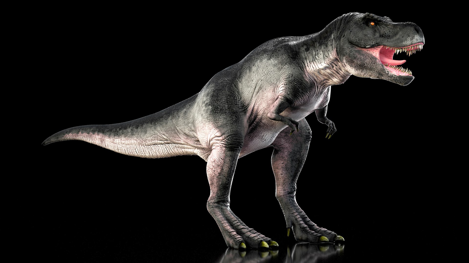 3D model T Rex Standart Pose https://p.turbosquid.com/ts-thumb/tx/RUeBr2/H6/trexstandartposemb3dmodel008/jpg/1691811969/1920x1080/fit_q87/07139dddb70f201324b1dd5db41a4fabd88e6cc0/trexstandartposemb3dmodel008.jpg