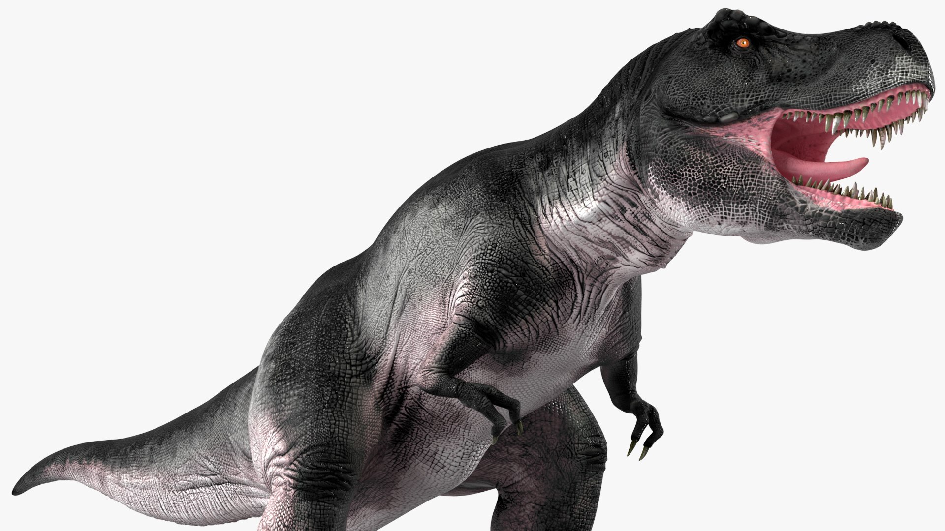 3D model T Rex Standart Pose https://p.turbosquid.com/ts-thumb/tx/RUeBr2/RR/trexstandartposemb3dmodel015/jpg/1691811994/1920x1080/fit_q87/e81a4043d2ed36ffd9c28f8b91d64ac3433046d5/trexstandartposemb3dmodel015.jpg