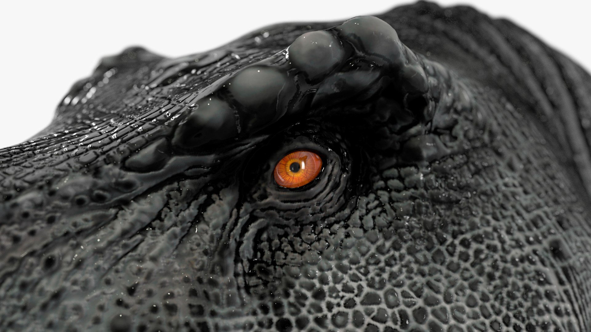 3D model T Rex Standart Pose https://p.turbosquid.com/ts-thumb/tx/RUeBr2/bv/trexstandartposemb3dmodel025/jpg/1691812031/1920x1080/fit_q87/de1a1fcebc528f6a7223f9801ca29fd3d9e45eb7/trexstandartposemb3dmodel025.jpg
