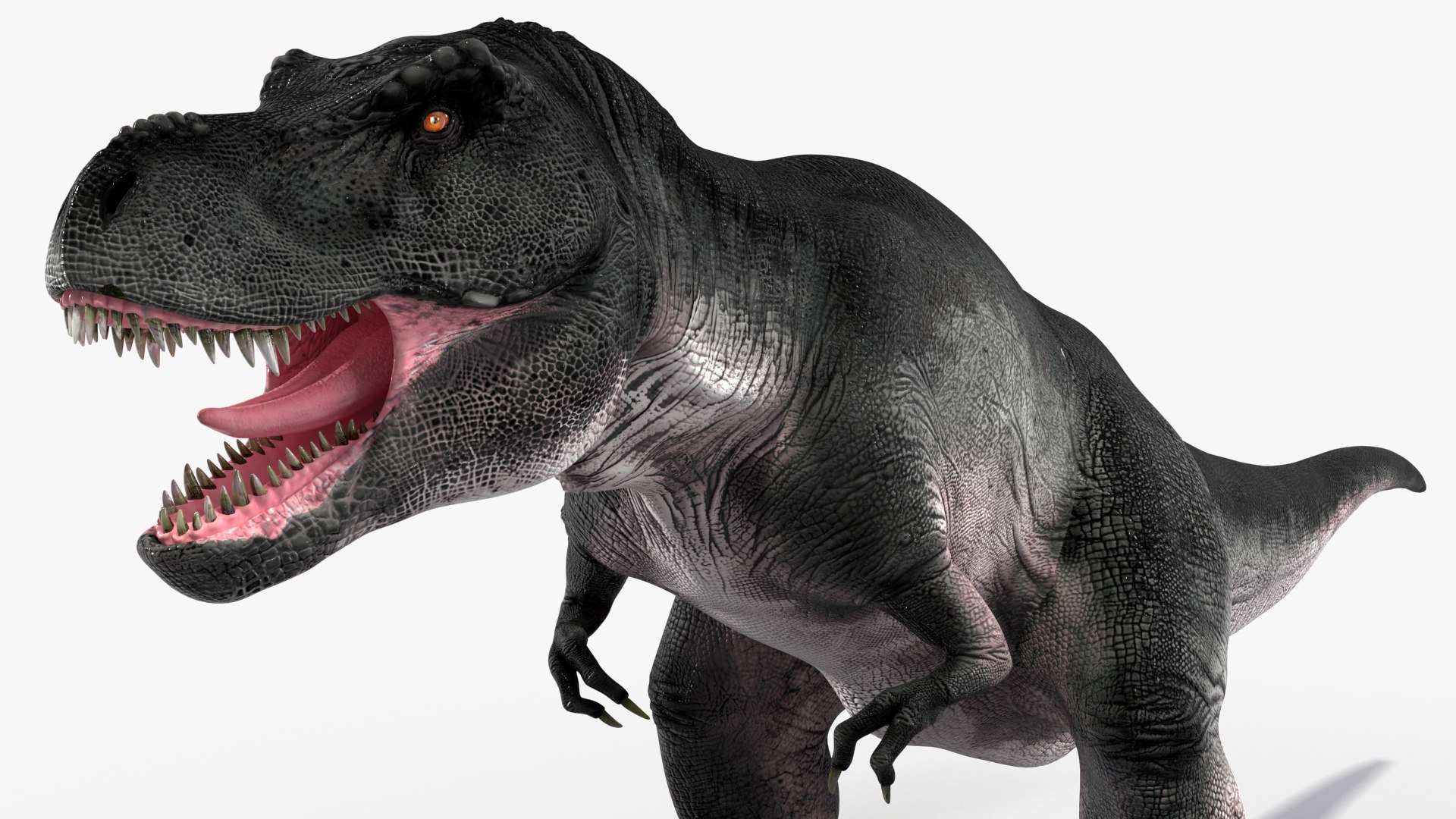 3D model T Rex Standart Pose https://p.turbosquid.com/ts-thumb/tx/RUeBr2/n2/trexstandartposemb3dmodel017/jpg/1691812001/1920x1080/fit_q87/7a22270002688f0b2b59261275ee2493c57a86e7/trexstandartposemb3dmodel017.jpg