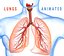 Human Lungs - pulmonary system 3D model