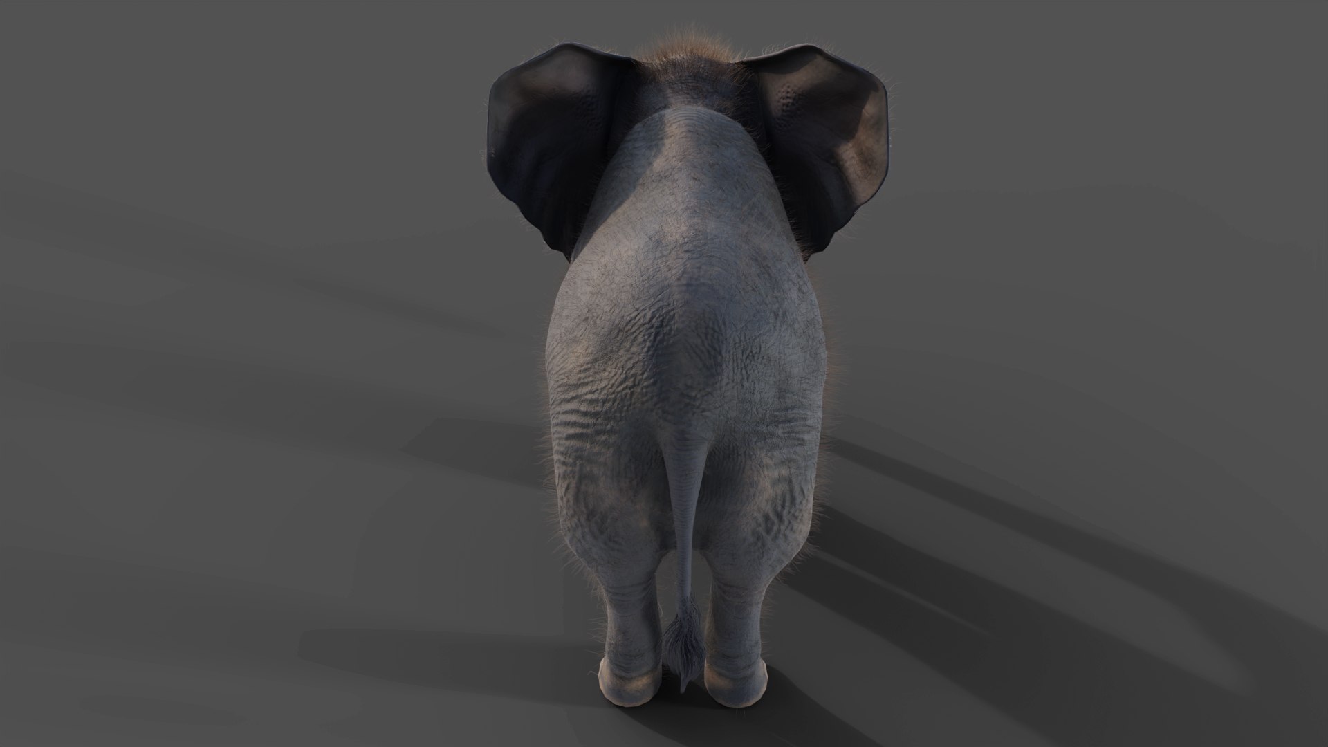 3D Fur Baby Elephant NO Rigged in Blender https://p.turbosquid.com/ts-thumb/tx/uIHW4h/FG/05/jpg/1661586086/1920x1080/fit_q87/8a1721dbe72d9ebd0dd29688c76d08c820473741/05.jpg