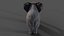 Fur Baby Elephant NO Rigged in Blender