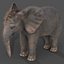 Fur Baby Elephant NO Rigged in Blender